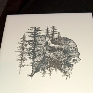 Buffalo Coaster with Black and White Design